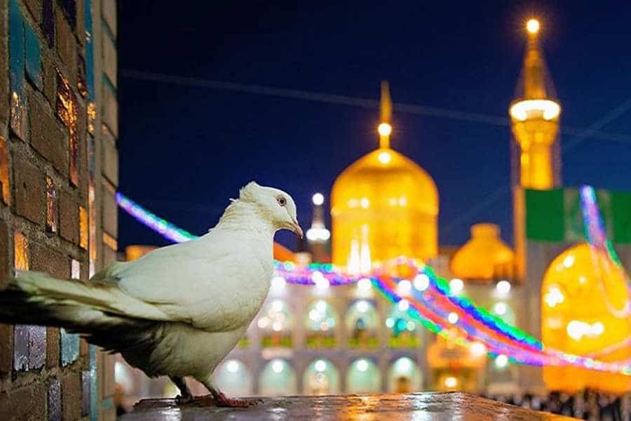 مجموعه سه کلیک