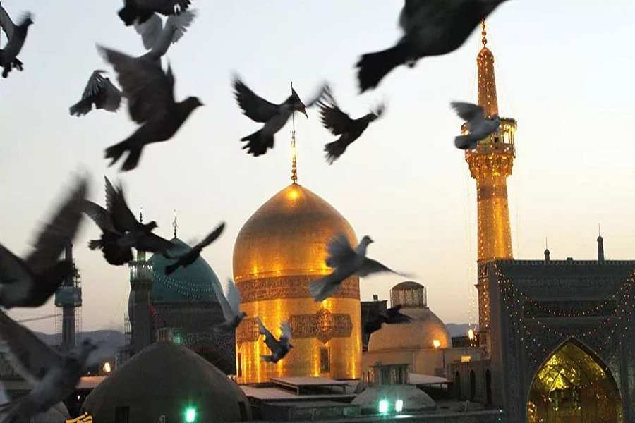 مجموعه سفر مارکت بهترین تور مشهد از کرج